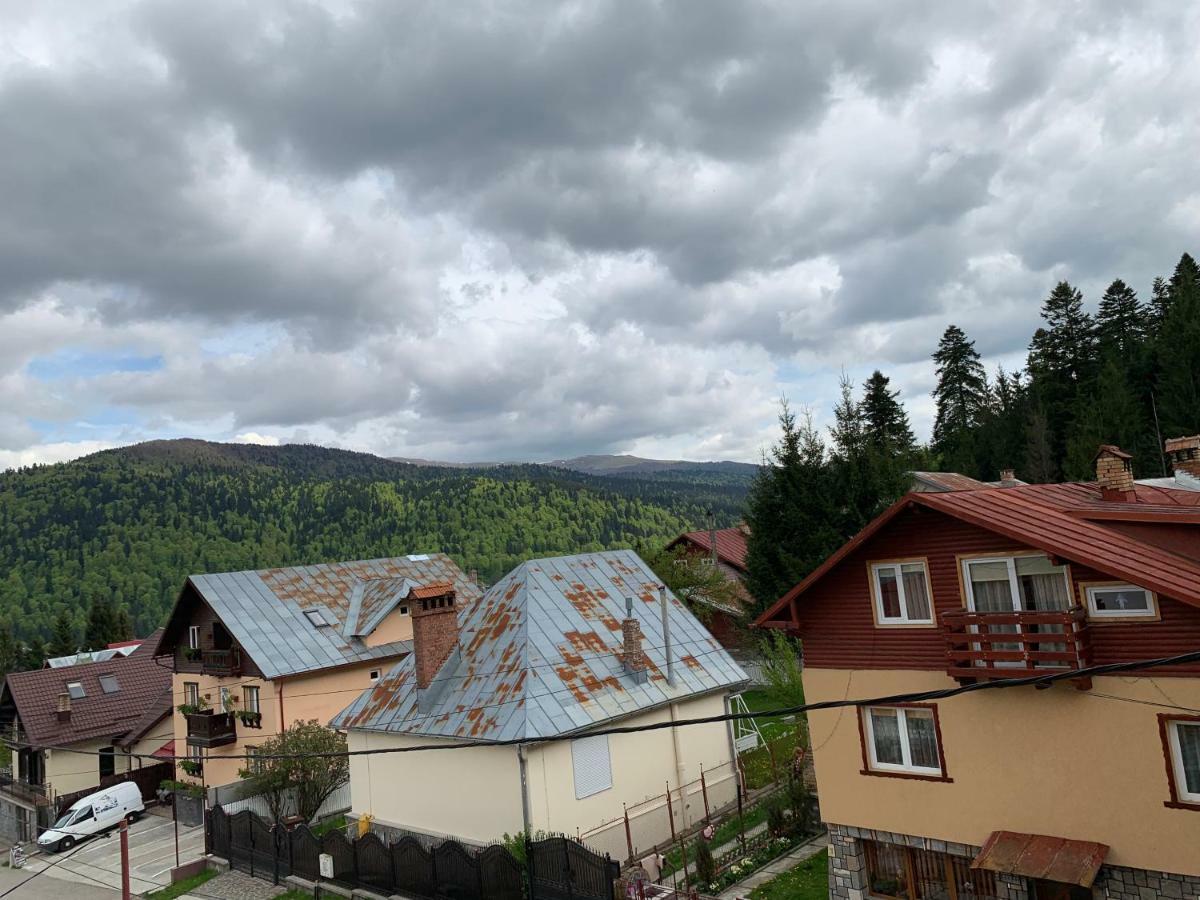 Vila Curcubeu Hotel Buşteni Екстериор снимка