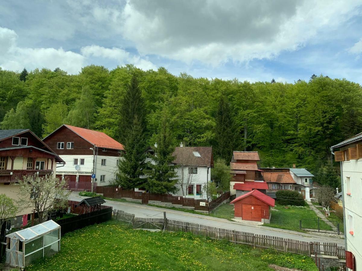 Vila Curcubeu Hotel Buşteni Екстериор снимка