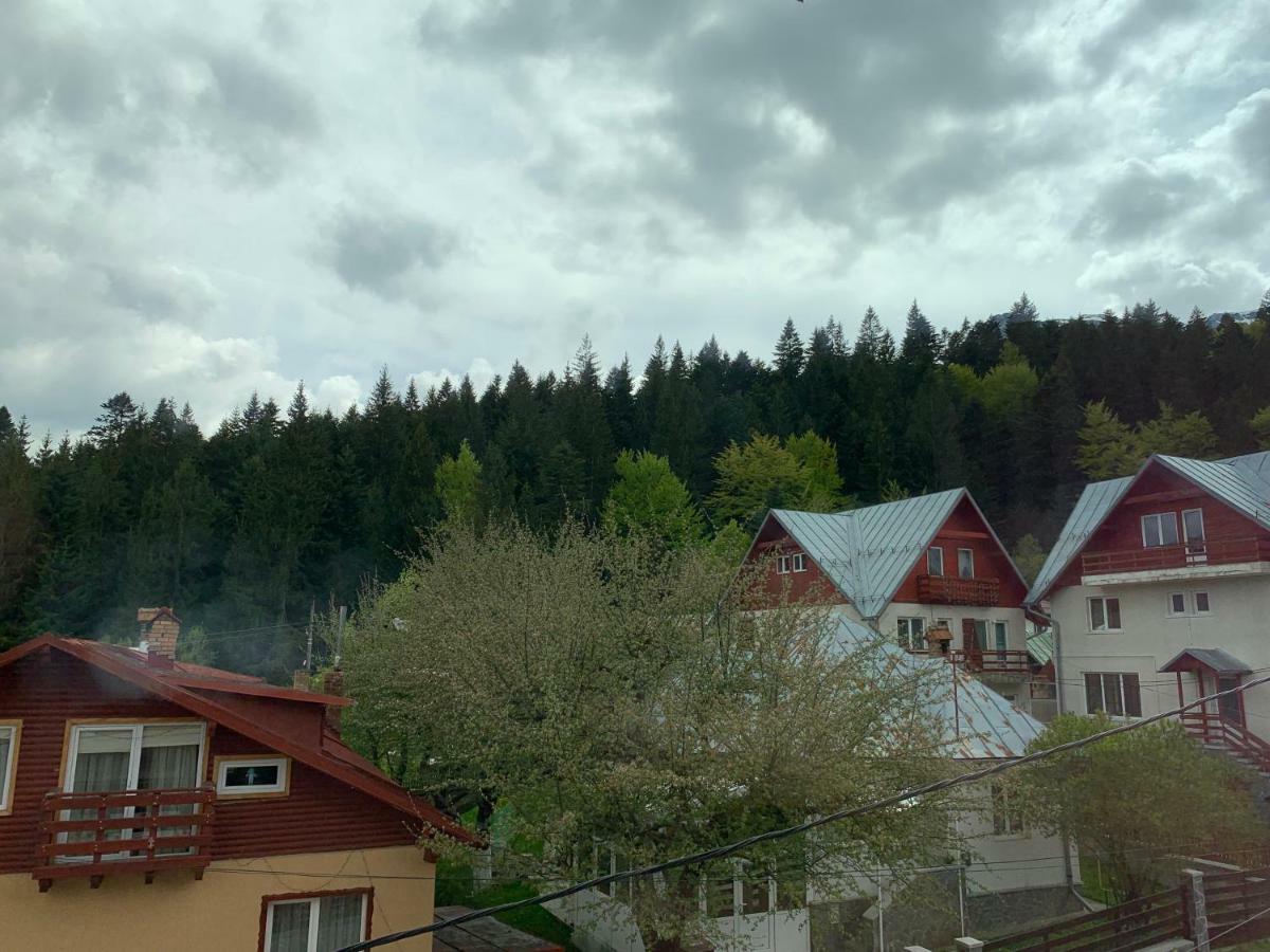 Vila Curcubeu Hotel Buşteni Екстериор снимка