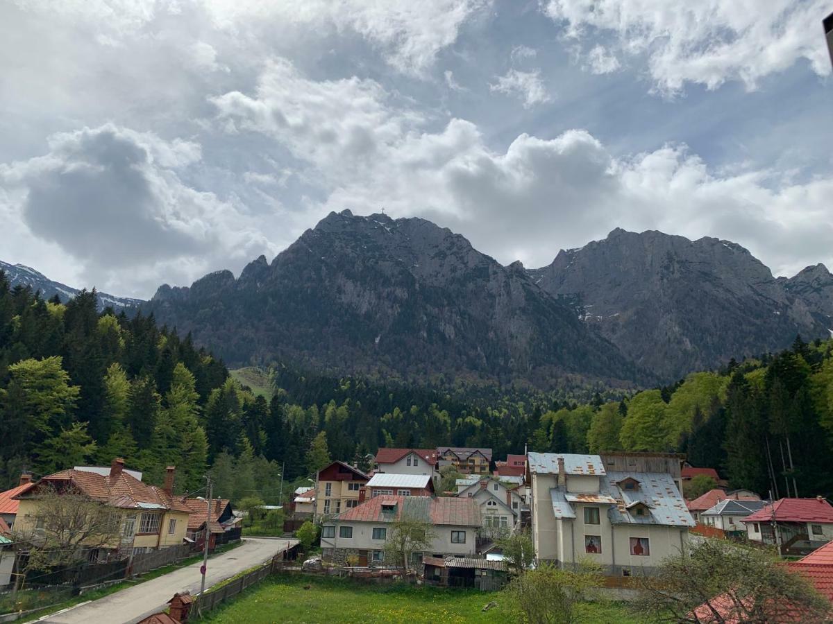 Vila Curcubeu Hotel Buşteni Екстериор снимка