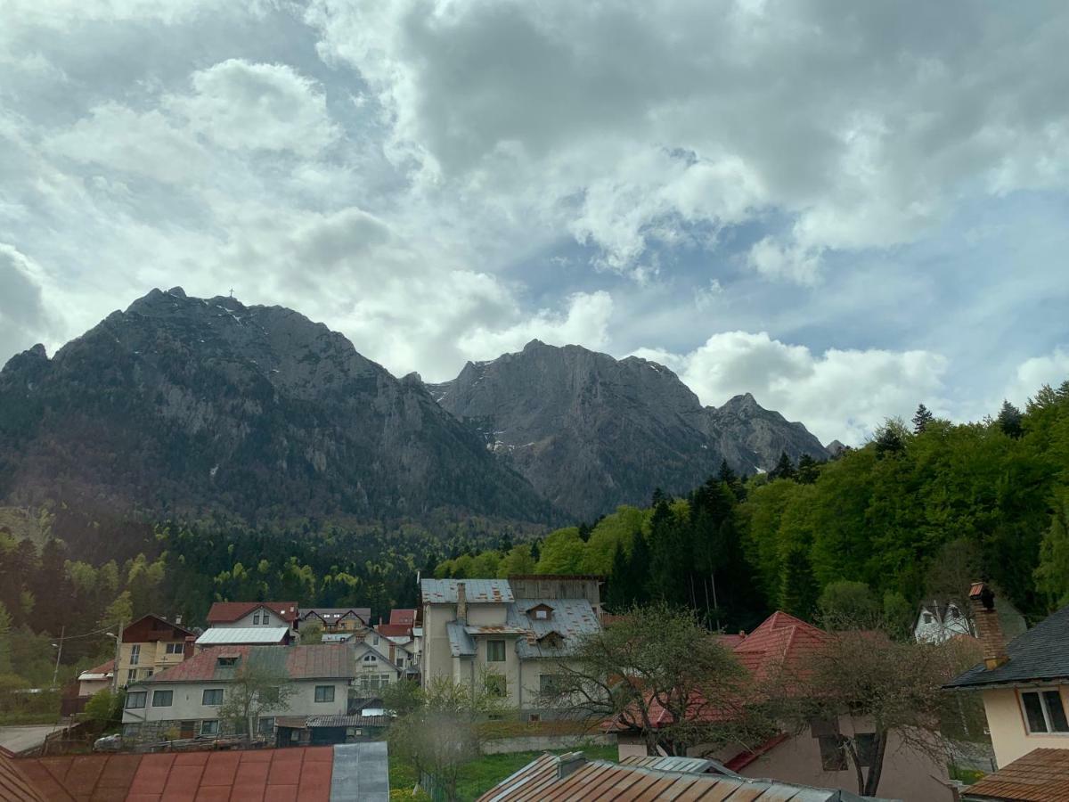 Vila Curcubeu Hotel Buşteni Екстериор снимка